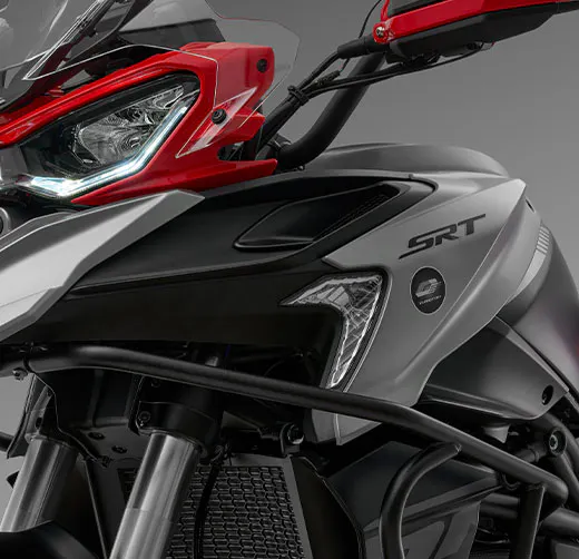 Model-Details SRT-900-SX SRT-900-SX-engine-bars